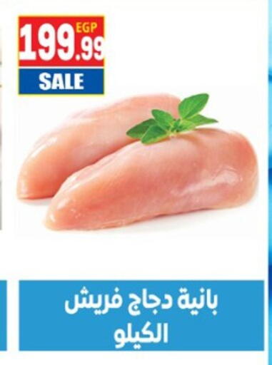 available at أولاد المحاوى in Egypt - القاهرة