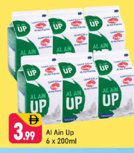 available at شكلان ماركت in الإمارات العربية المتحدة , الامارات - دبي