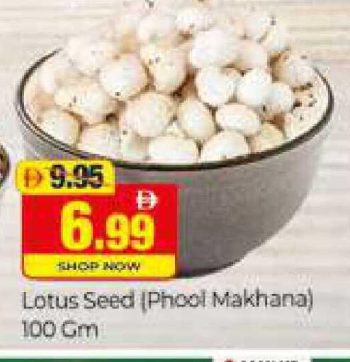 available at المدينة in الإمارات العربية المتحدة , الامارات - دبي