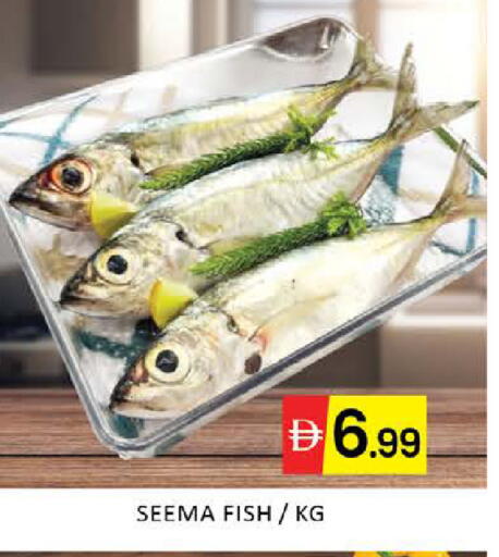 Mango available at مانجو هايبرماركت in الإمارات العربية المتحدة , الامارات - دبي