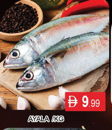 available at AL MADINA (Dubai) in UAE - Dubai