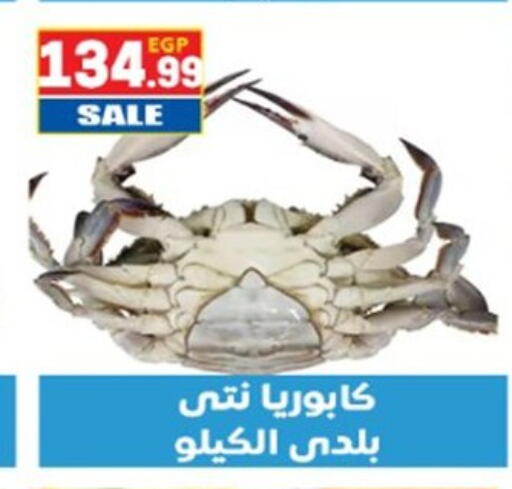 available at El mhallawy Sons in Egypt - Cairo