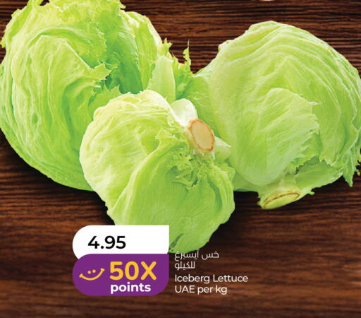 Lettuce available at Lulu Hypermarket in UAE - Al Ain