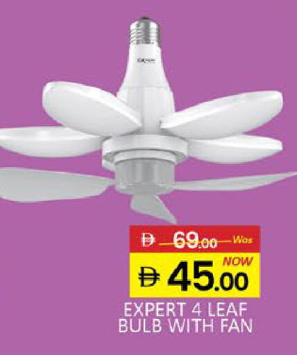 Mango available at مانجو هايبرماركت in الإمارات العربية المتحدة , الامارات - دبي