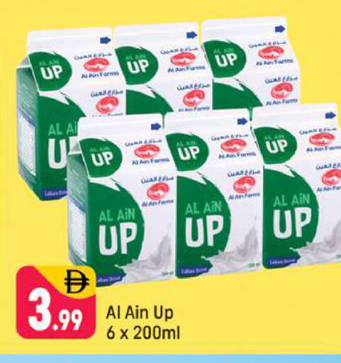 available at شكلان ماركت in الإمارات العربية المتحدة , الامارات - دبي