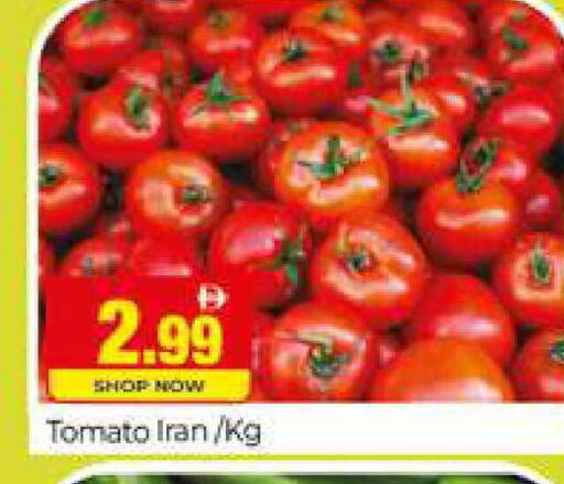 Tomato from Iran available at المدينة in الإمارات العربية المتحدة , الامارات - دبي