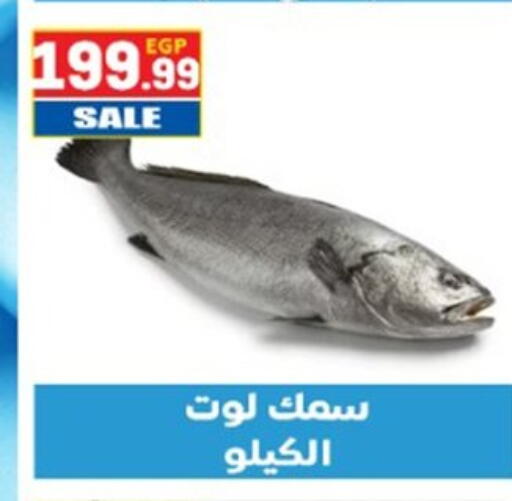 available at El mhallawy Sons in Egypt - Cairo