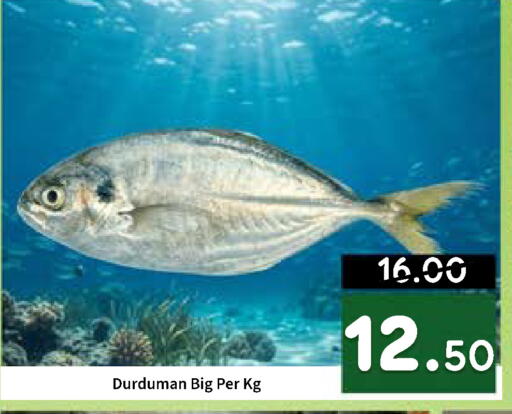 available at ROYAL GULF HYPERMARKET LLC in UAE - Abu Dhabi