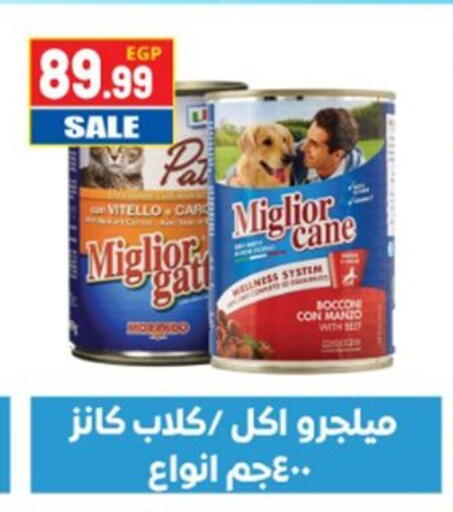 available at El mhallawy Sons in Egypt - Cairo