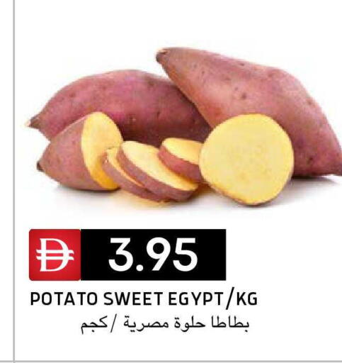 Potato from Egypt available at سيليكت ماركت in الإمارات العربية المتحدة , الامارات - أبو ظبي