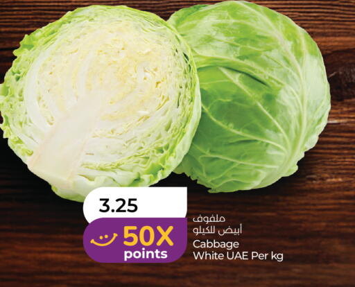 Cabbage available at Lulu Hypermarket in UAE - Umm al Quwain
