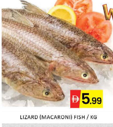 Mango available at مانجو هايبرماركت in الإمارات العربية المتحدة , الامارات - دبي