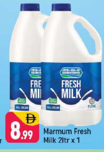 available at شكلان ماركت in الإمارات العربية المتحدة , الامارات - دبي