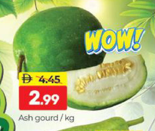 available at المدينة in الإمارات العربية المتحدة , الامارات - دبي