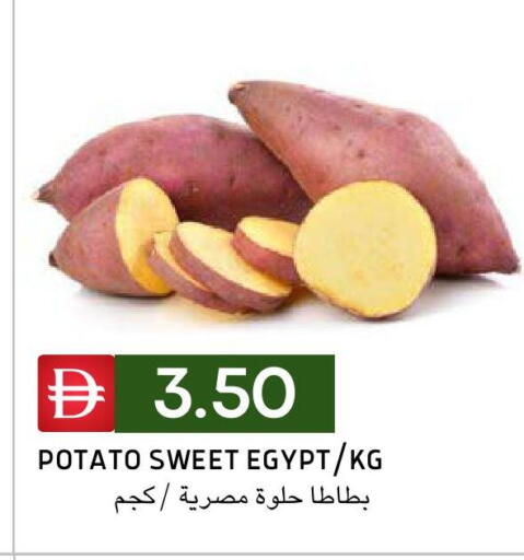 Potato from Egypt available at سيليكت ماركت in الإمارات العربية المتحدة , الامارات - أبو ظبي