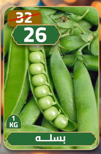 available at جرين تري هايبرماركت - سوهاج in Egypt - القاهرة