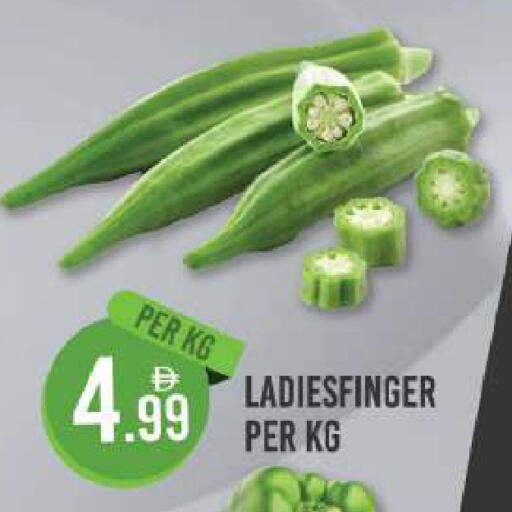 available at دريم لاند in الإمارات العربية المتحدة , الامارات - دبي