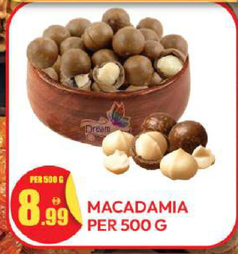 available at دريم لاند in الإمارات العربية المتحدة , الامارات - دبي