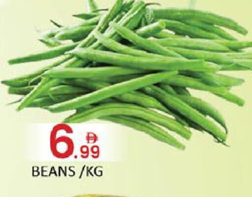 Mango available at Mango Hypermarket LLC in UAE - Dubai