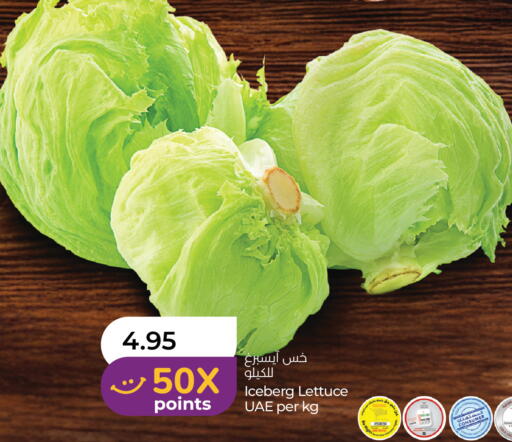 Lettuce available at Lulu Hypermarket in UAE - Umm al Quwain