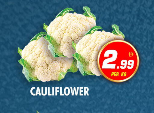 Cauliflower available at نايت تو نايت in الإمارات العربية المتحدة , الامارات - الشارقة / عجمان