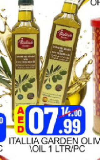 Mango available at مانجو هايبرماركت in الإمارات العربية المتحدة , الامارات - دبي