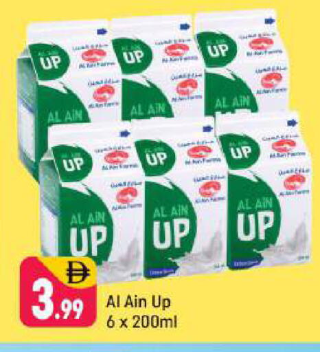 available at شكلان ماركت in الإمارات العربية المتحدة , الامارات - دبي