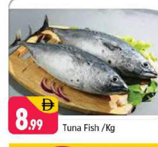 available at Shaklan  in UAE - Dubai