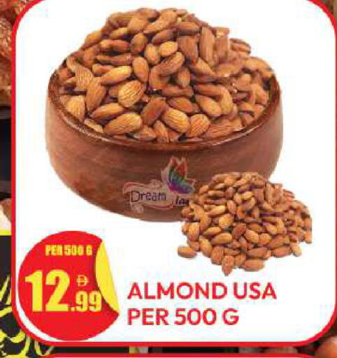 available at Dream Land in UAE - Dubai