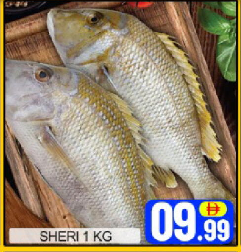 Mango available at مانجو هايبرماركت in الإمارات العربية المتحدة , الامارات - دبي