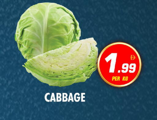 Cabbage available at نايت تو نايت in الإمارات العربية المتحدة , الامارات - الشارقة / عجمان