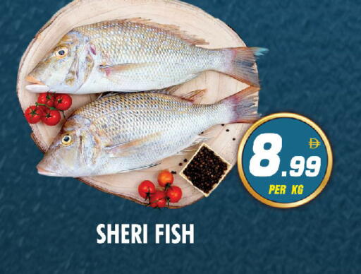 available at نايت تو نايت in الإمارات العربية المتحدة , الامارات - الشارقة / عجمان