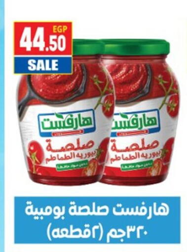 available at El mhallawy Sons in Egypt - Cairo