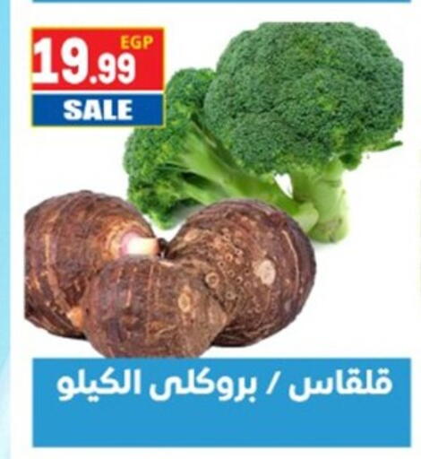 available at El mhallawy Sons in Egypt - Cairo