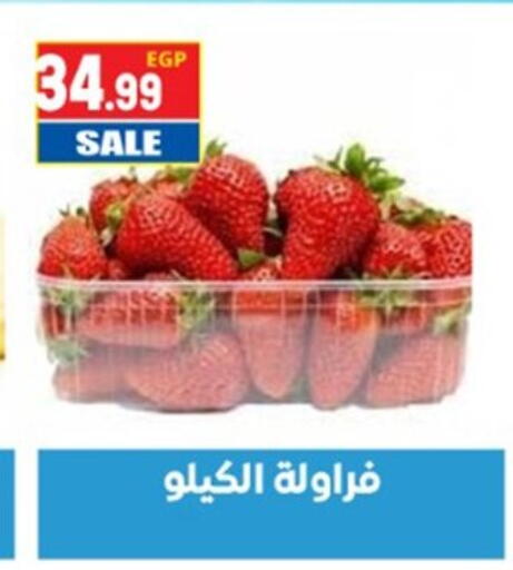 available at El mhallawy Sons in Egypt - Cairo