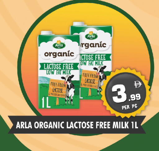 available at نايت تو نايت in الإمارات العربية المتحدة , الامارات - الشارقة / عجمان