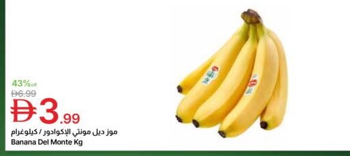 Banana available at جمعية الامارات التعاونية in الإمارات العربية المتحدة , الامارات - دبي