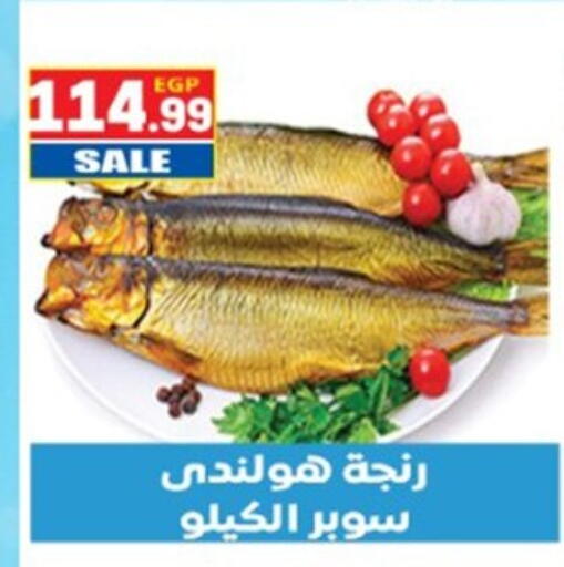 available at أولاد المحاوى in Egypt - القاهرة