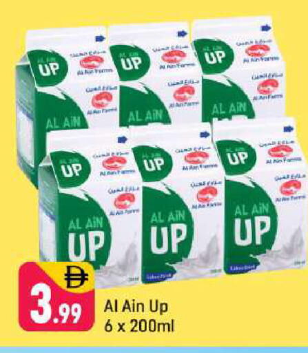 available at شكلان ماركت in الإمارات العربية المتحدة , الامارات - دبي