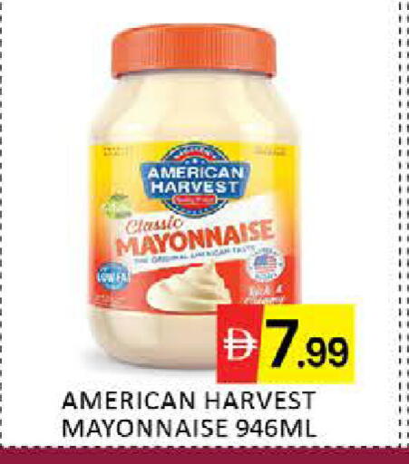 Mango available at مانجو هايبرماركت in الإمارات العربية المتحدة , الامارات - دبي