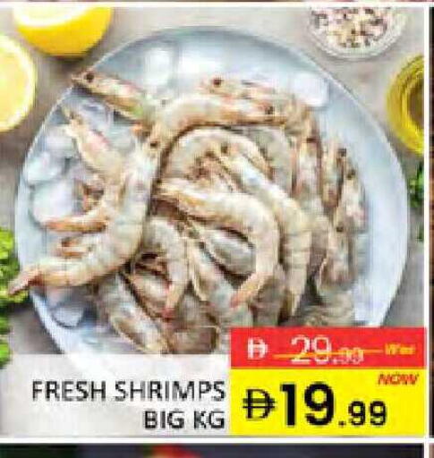 available at المدينة in الإمارات العربية المتحدة , الامارات - دبي