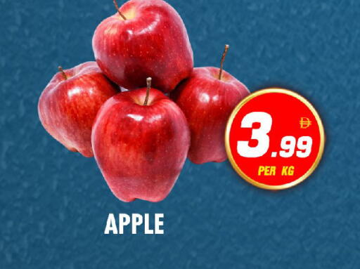 Apple available at نايت تو نايت in الإمارات العربية المتحدة , الامارات - الشارقة / عجمان