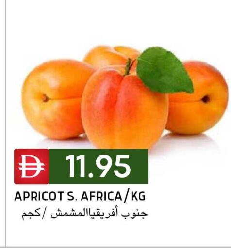 available at سيليكت ماركت in الإمارات العربية المتحدة , الامارات - أبو ظبي