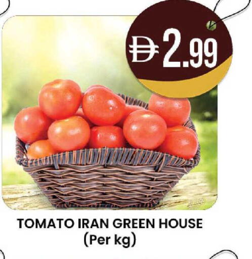 Tomato from Iran available at ك. الم. للتجارة in الإمارات العربية المتحدة , الامارات - ٱلْعَيْن‎
