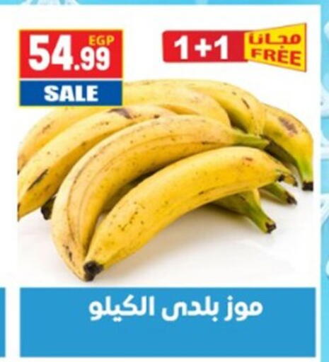 available at El mhallawy Sons in Egypt - Cairo