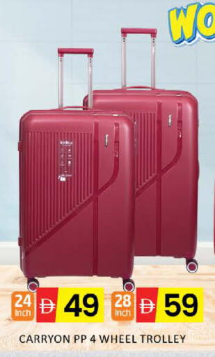 Mango available at مانجو هايبرماركت in الإمارات العربية المتحدة , الامارات - دبي