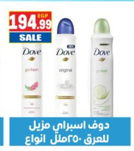 available at أولاد المحاوى in Egypt - القاهرة