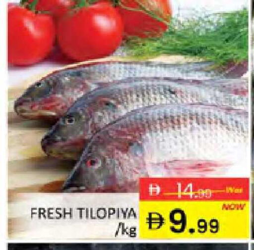 available at المدينة in الإمارات العربية المتحدة , الامارات - دبي