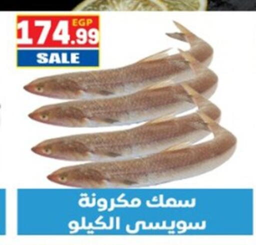 available at El mhallawy Sons in Egypt - Cairo