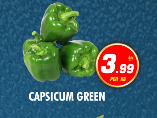 Capsicum available at نايت تو نايت in الإمارات العربية المتحدة , الامارات - الشارقة / عجمان